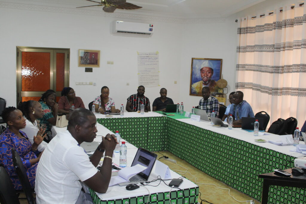 Representatives from Burkinabe microfinance institutions sit at tables during gender-based M&E training